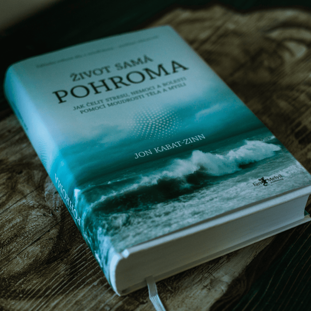 mindfulness kniha